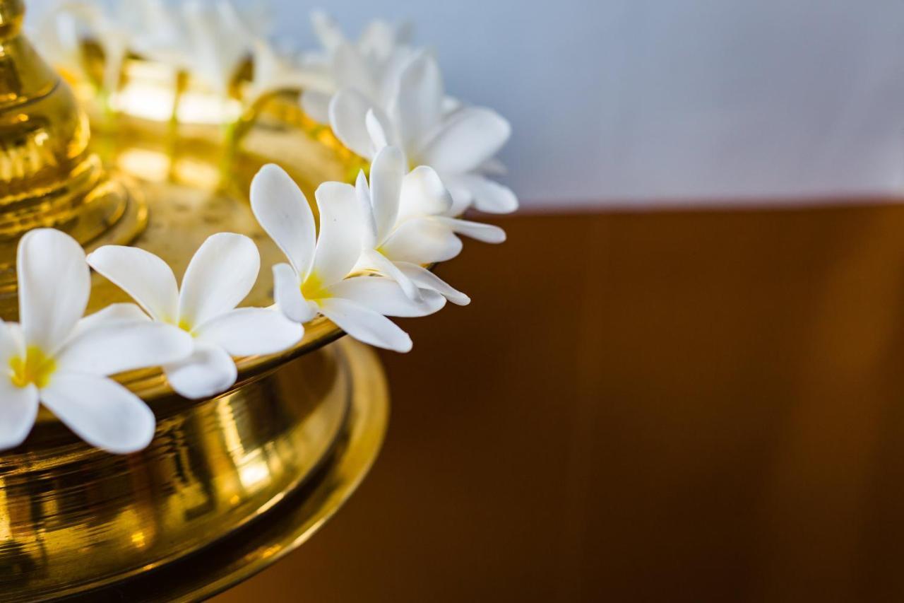 Mekosha Ayurveda Spa Suites Retreat & Resort Attingal Экстерьер фото